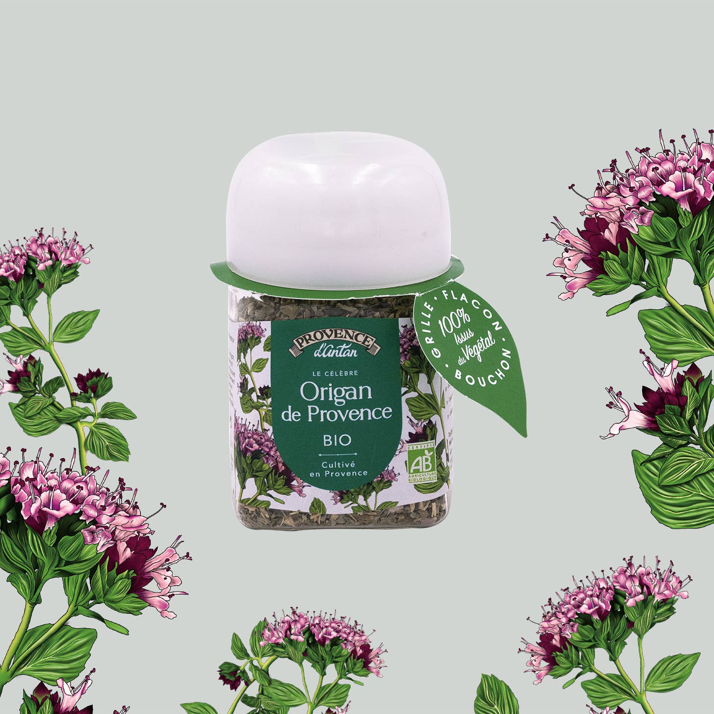 PROVENCE D'ANTAN - Vente Herbes aromatiques - Origan Bio* Origine Provence 18g - Pot Végétal PLA0