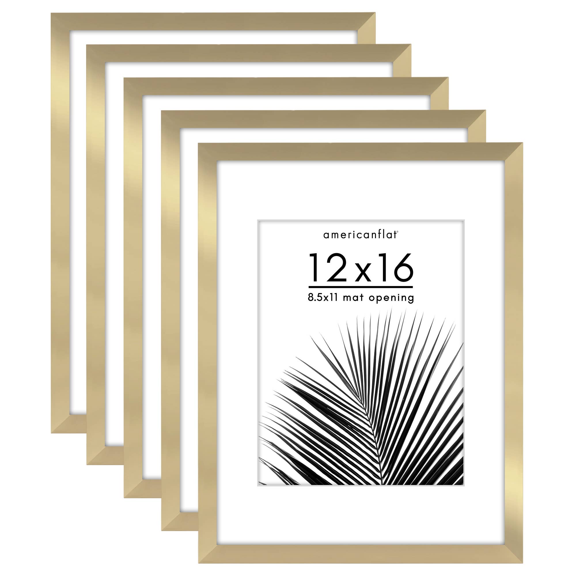 Americanflat - Wholesale Picture Frame - Americanflat 5 Pack Picture Frames With Mat Plexiglass Cover32