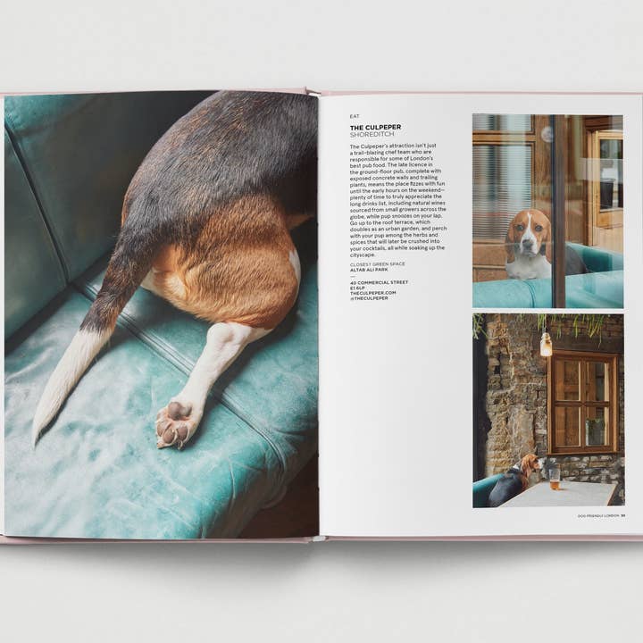 Hoxton Mini Press - Wholesale Pets - Dog-Friendly London4