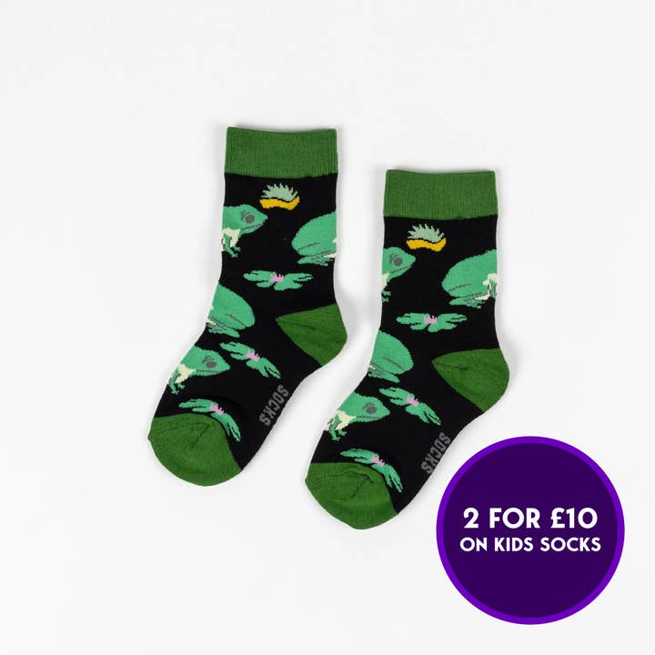 KIDS BAMBOO SOCKS | FROG for wholesale by We Are Hedgy Limited