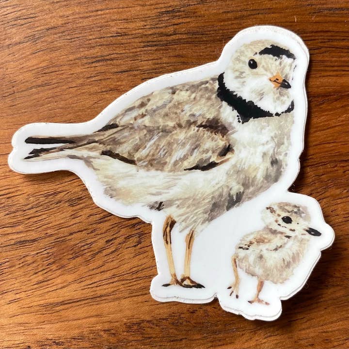 Brush & Bark - Wholesale Sticker - Piping Plovers Sticker3