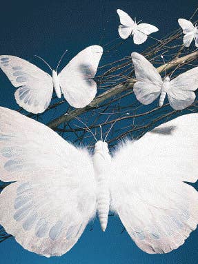 BUTTERFLY WHITE - 12" for wholesale by Studio Specialties