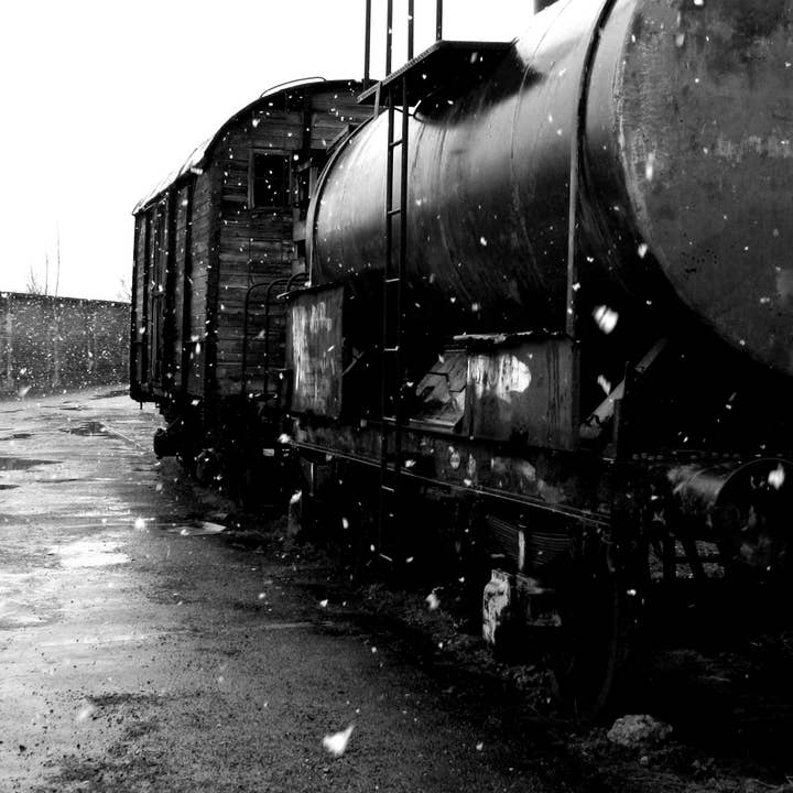 FOTO SERIE TANNOISER S/W für den Großhandel von MASSIMO DIVENUTO