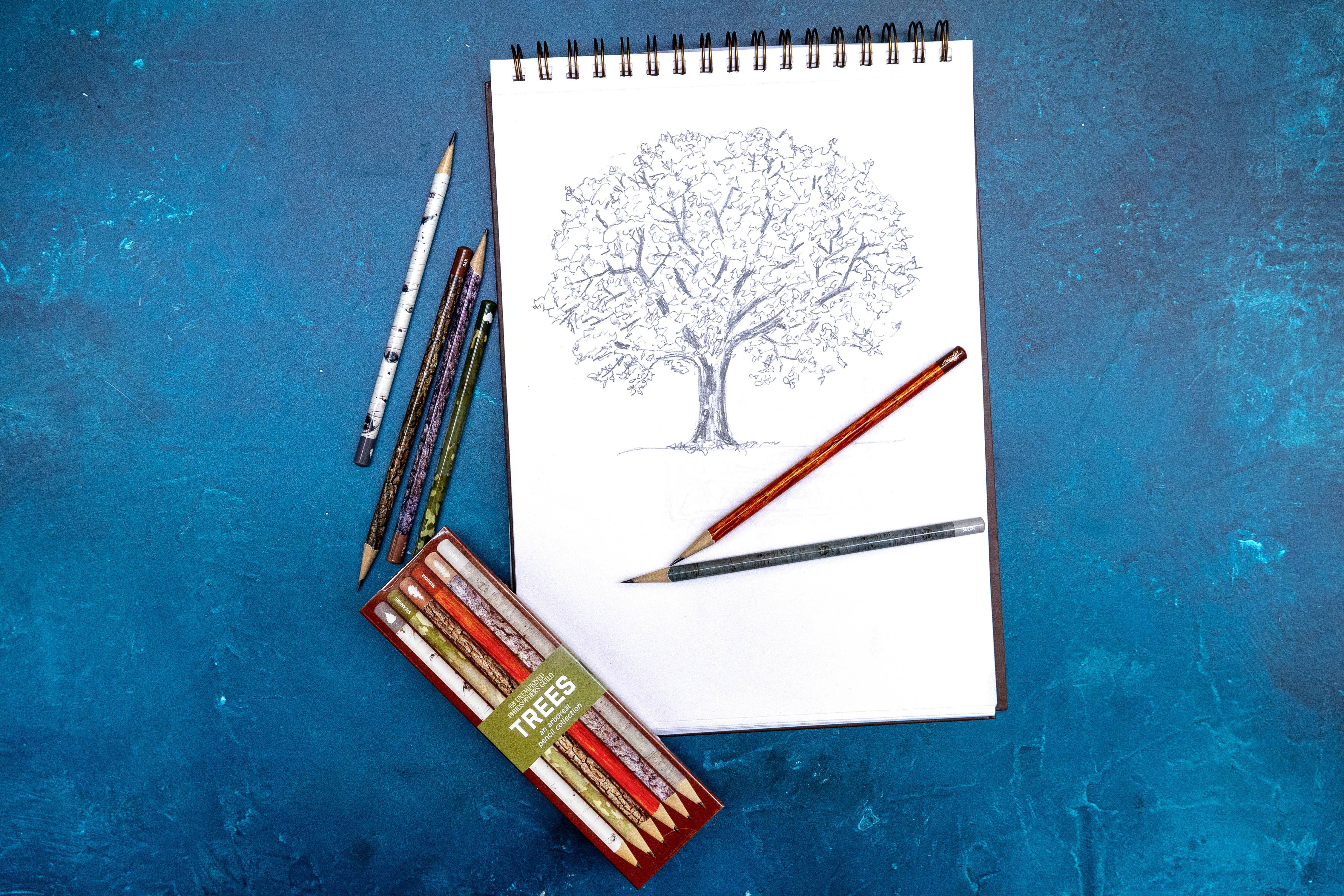 Unemployed Philosophers Guild - Wholesale Pencil - Trees Pencil Set2