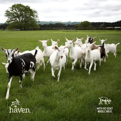 Haven Baby - Vente Aliments pour bébé - Haven Goat lait de croissance pour tout-petits | lait néo-zélandais sans OGM4