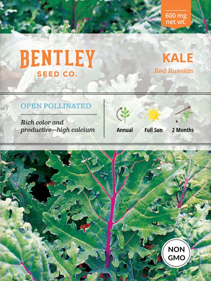 Kale, Red Russian Seed Packets for wholesale by Bentley Seed Co.
