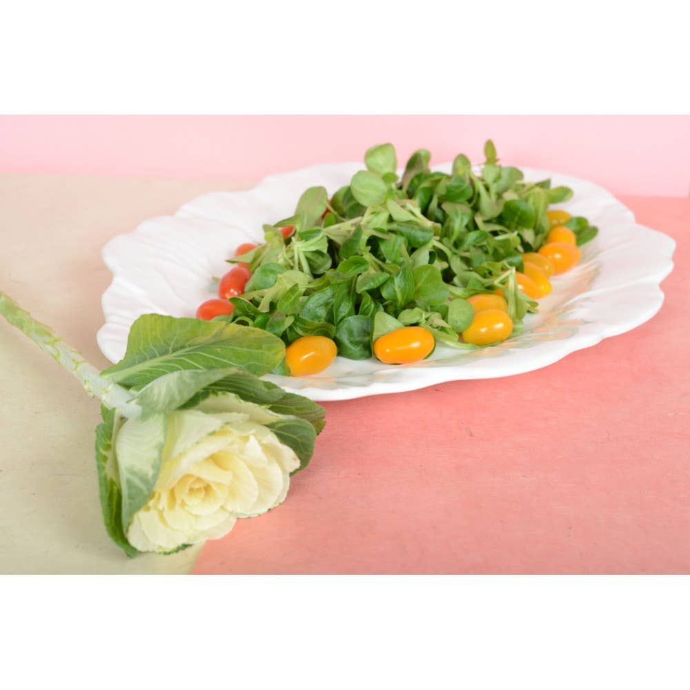 AULICA - Vente Plateaux de service - Plat ovale blanc en mélamine 50x40x2cm3