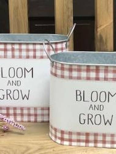 Bloom & Grow Oval Canisters (Set of 2) for wholesale by DNS Designs