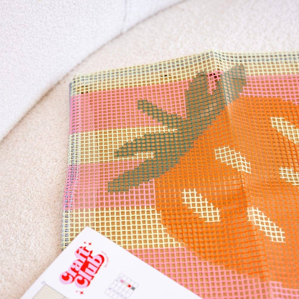 Craft Club - Wholesale DIY Craft Kit - STRAWBERRY RIPE STRIPES - Latch Hook Cushion Kit6