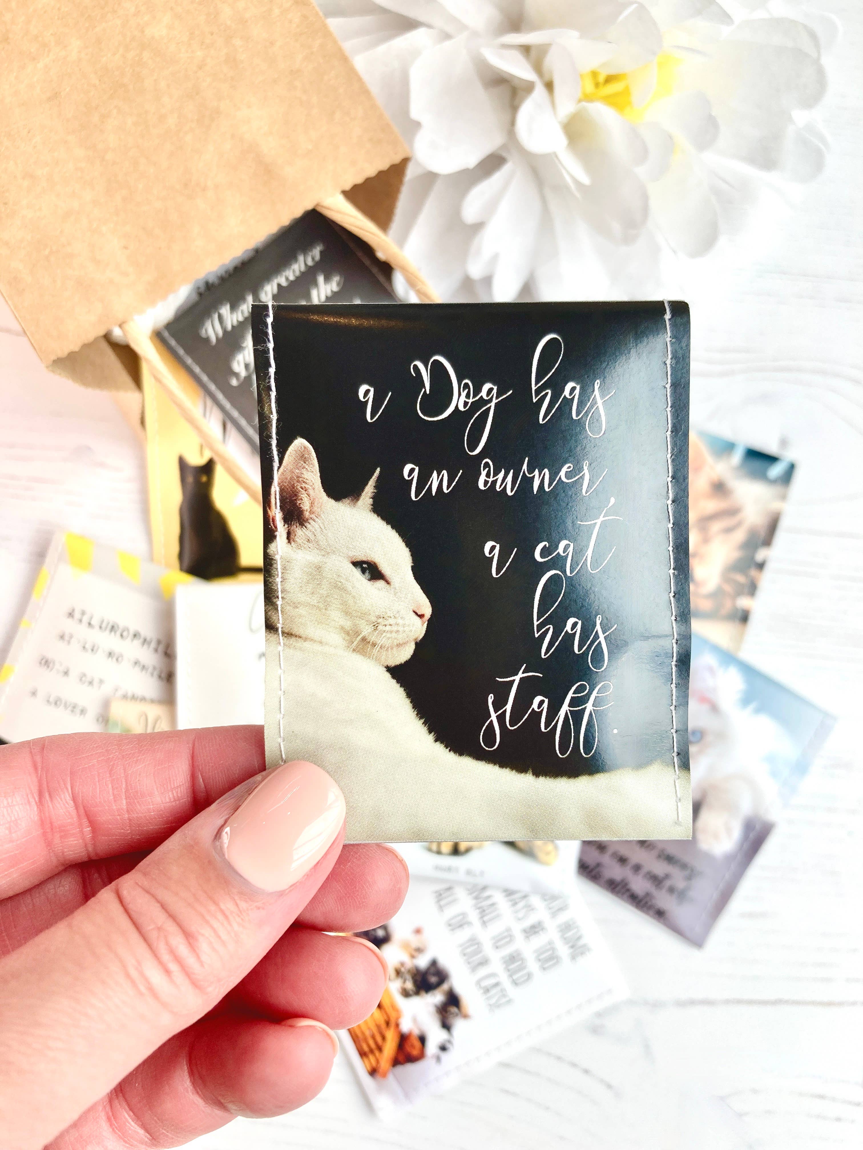 Victoria Mae Designs – wholesale Tea bags – Cat Lovers Tea Gift Set7