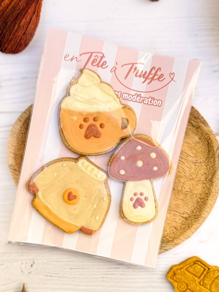 Autumn dog biscuits – bag of 3 iced biscuits for wholesale by En tête a truffe