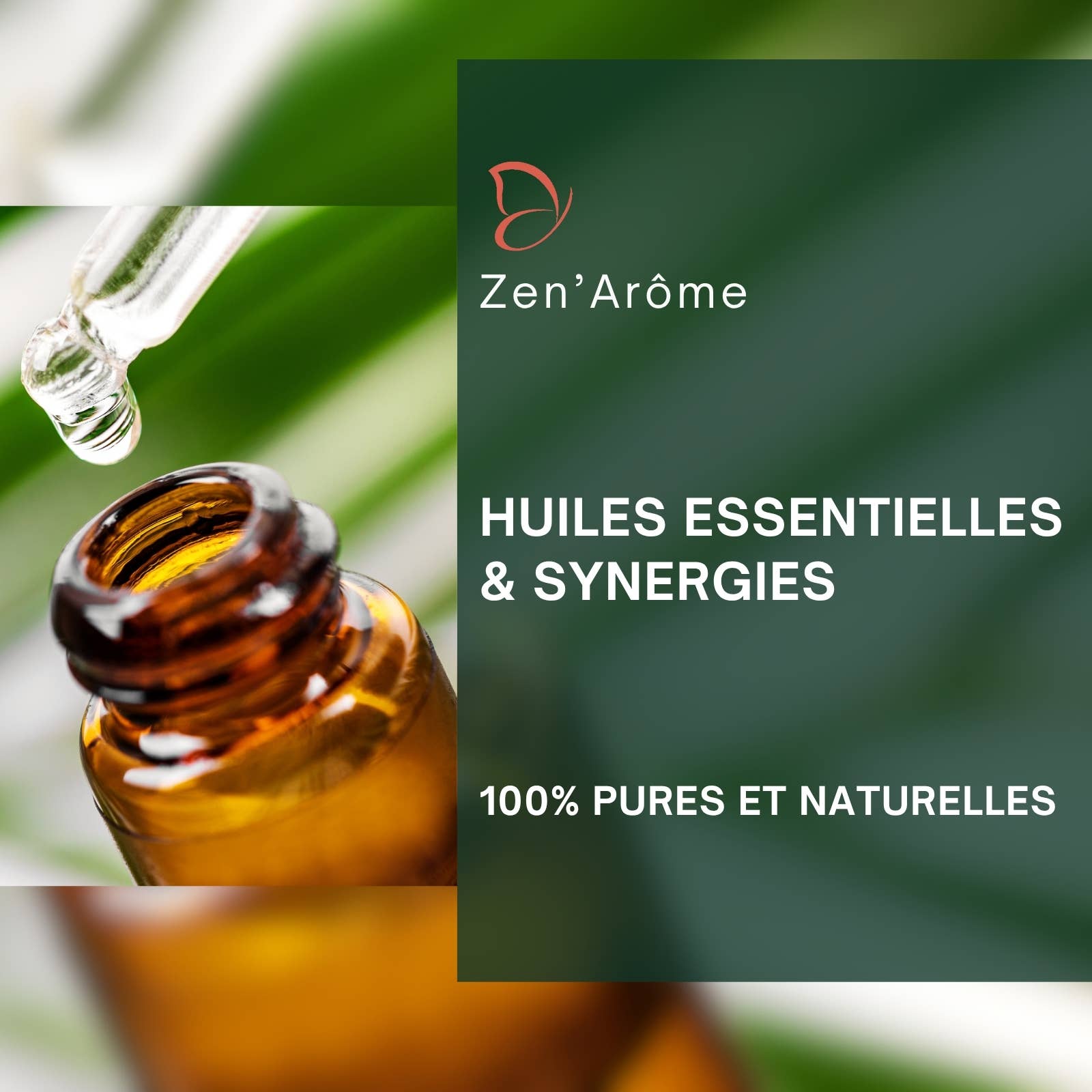 Zen'Arôme - Wholesale Essential Oil - 6 Essential Oils + 1 Free Storage Kit3