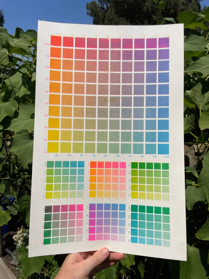 Riso Color Chart for wholesale by coralroot