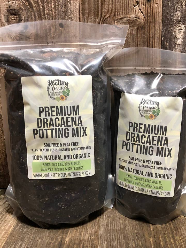 Dracaena Premium Potting Mix for wholesale by Rooting For You Plant Nursery