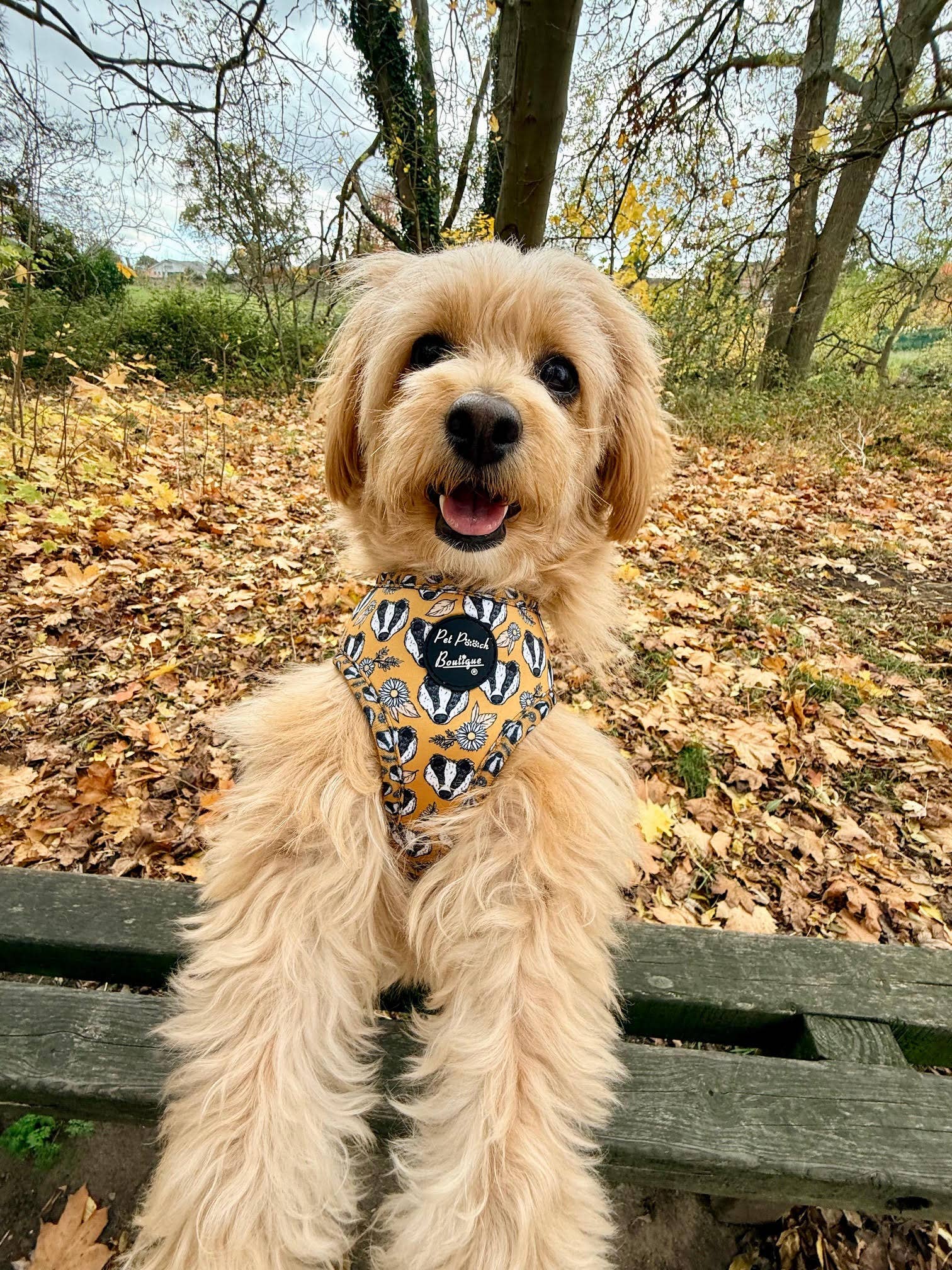 Pet Pooch Boutique – wholesale Pet harness – Dog – Woodland Badger Puppy Dog Harness (Autumn/mustard yellow)16