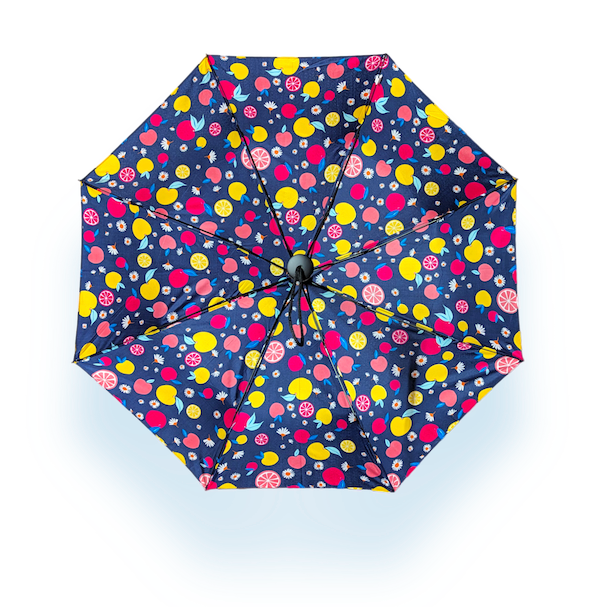 EyeLevel – wholesale Umbrella – Women's – Mini Umbrella - 4 Patterns - RRP £9.9912