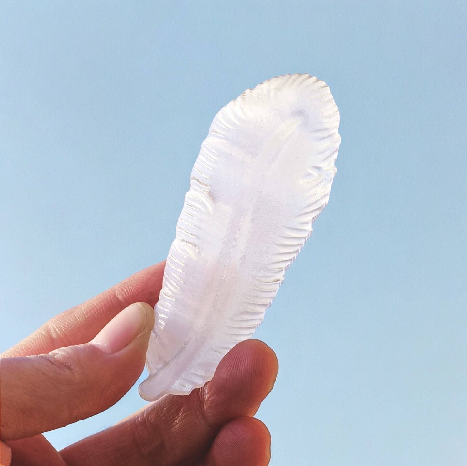 Crystolver (We Cover All Import Fees) - Vendita all'ingrosso Pietra/cristallo spirituale - Cristallo di Selenite Naturale a Forma di Piuma3