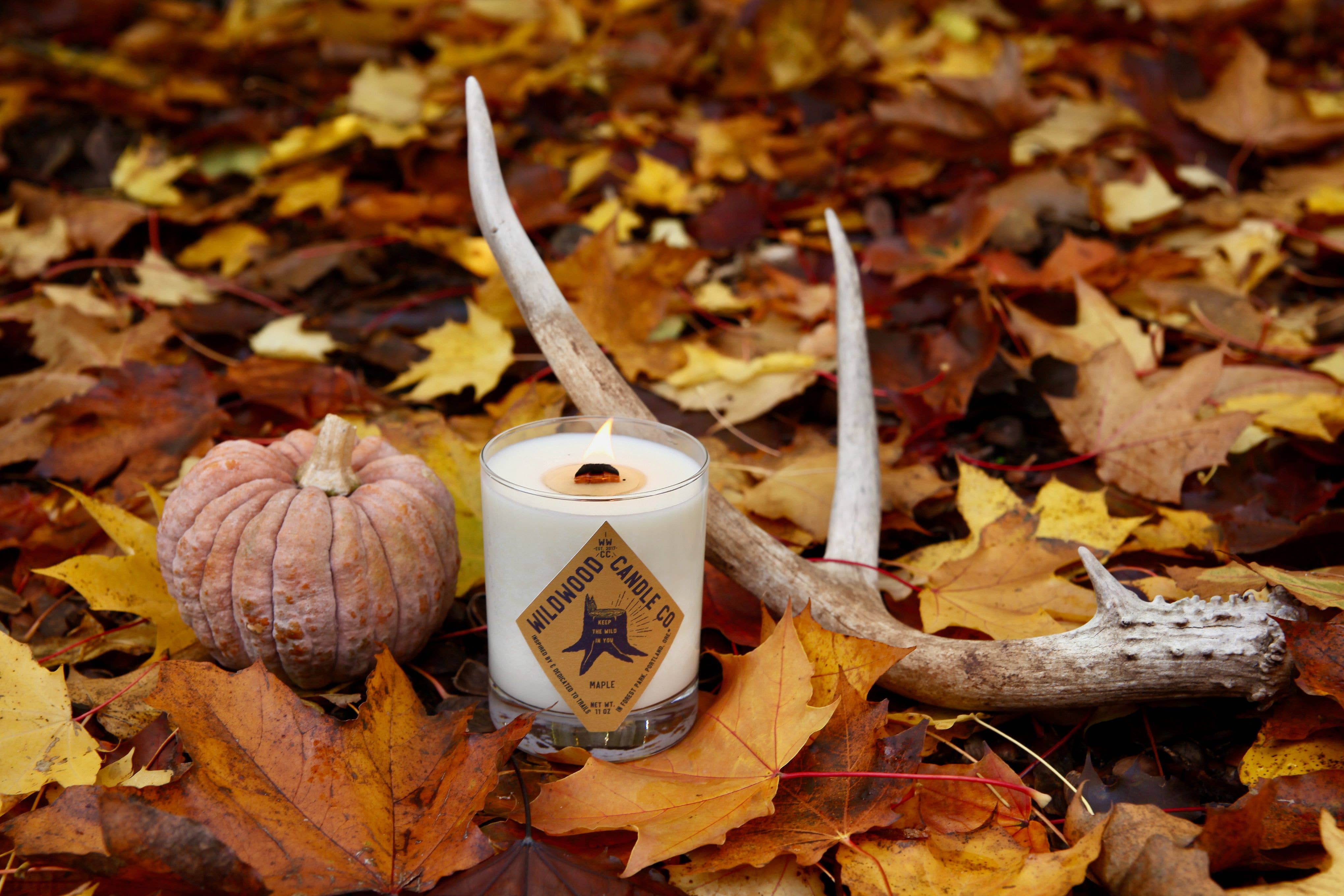 Wildwood Candle Co. - Wholesale Jar/Filled Candle - 11 oz Maple Soy Candle - Sweet Potato Nutmeg Maple Syrup2