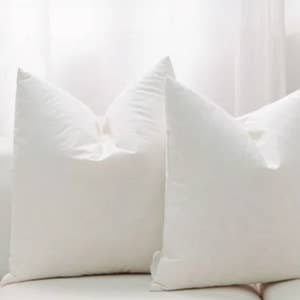 Outdoor 24 in. x 24 in. Premium Goose Down Feather Throw Pillow Inserts(Set of 2)-5% Down Filling, High Filling Weight, White