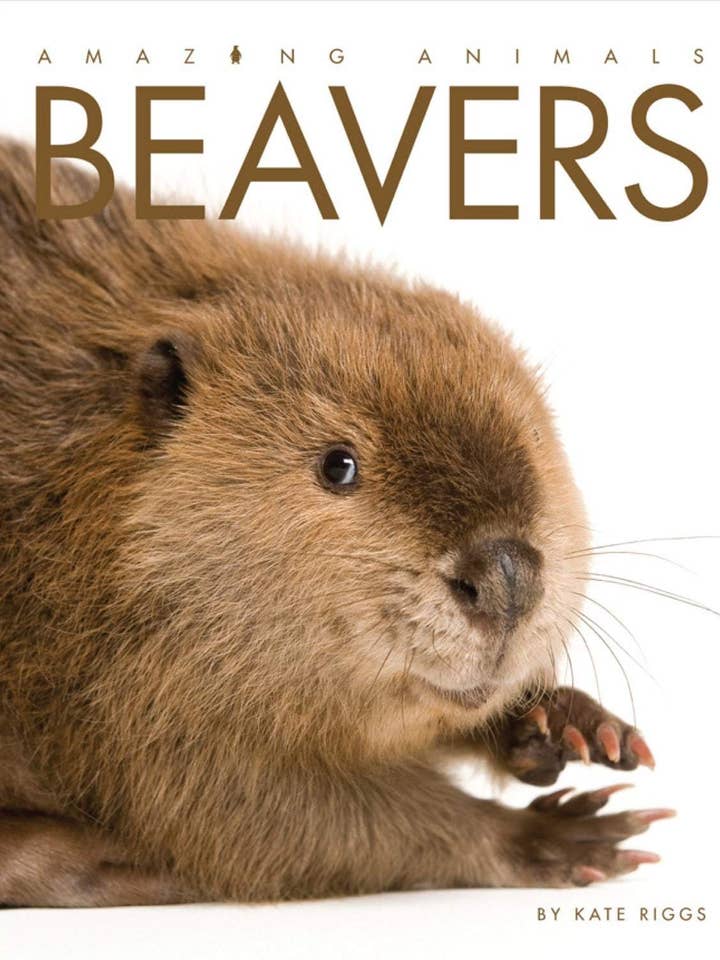 Fantastiska djur (2014): Bävrar för wholesale av The Creative Company