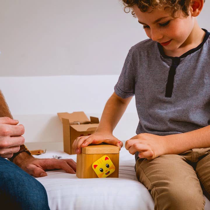 Lovebox (Europe) – wholesale Toy set – Kids – Lovebox for Kids - Cat version -
The perfect gift6