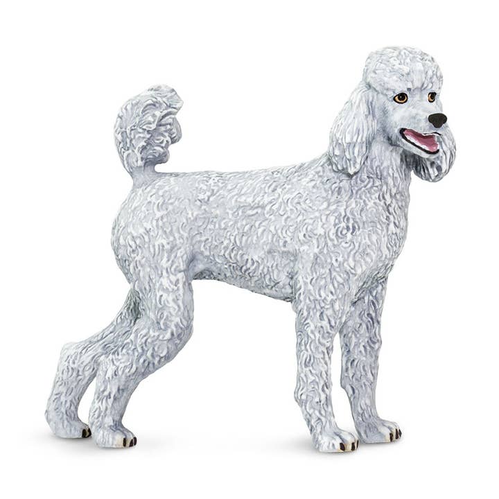 Poodle - 100063 for wholesale by Safari Ltd.