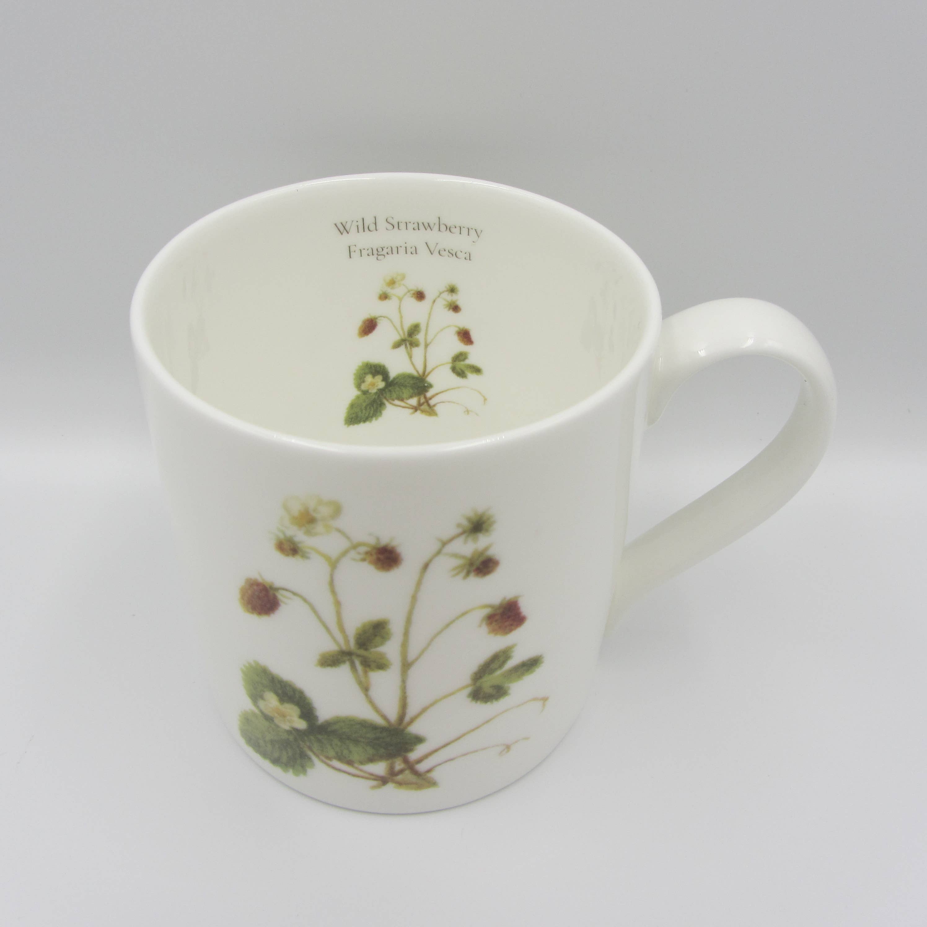 Sophia Davenport - Wholesale Coffee Mug - Wildflower Fine Bone China Mugs Large 375ml11