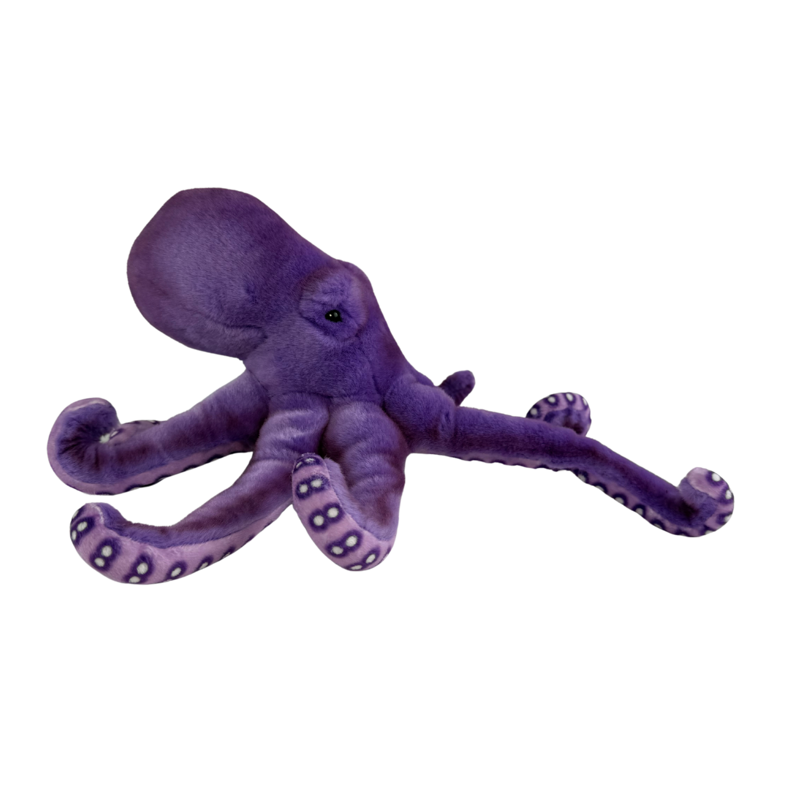Bocchetta Plush Toys - Wholesale Stuffed/plush toy – Kids & baby - Nate - Octopus, purple - 32cm5