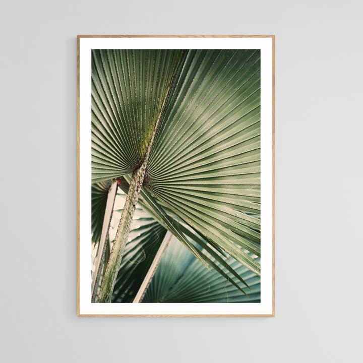 Tirage photographique moderne - Bismarck bleu pour la vente par Alicia Bock Print Shop