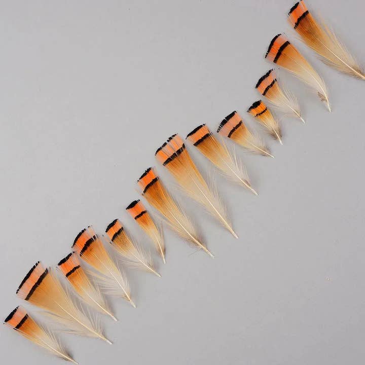 Zucker Feather Products - Vendita all'ingrosso Attrezzature per lavoretti e fai da te - Piumaggio a forma di fagiano dorato, 1-8,9 cm, naturale