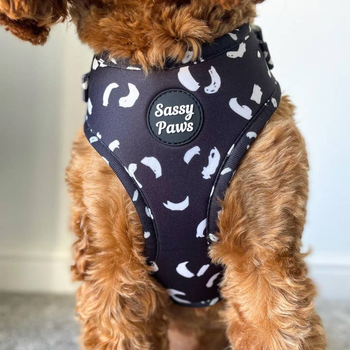 Sassy Paws Collection - Vente Harnais – chien - Harnais pectoral pour chien - « Black Panther »5