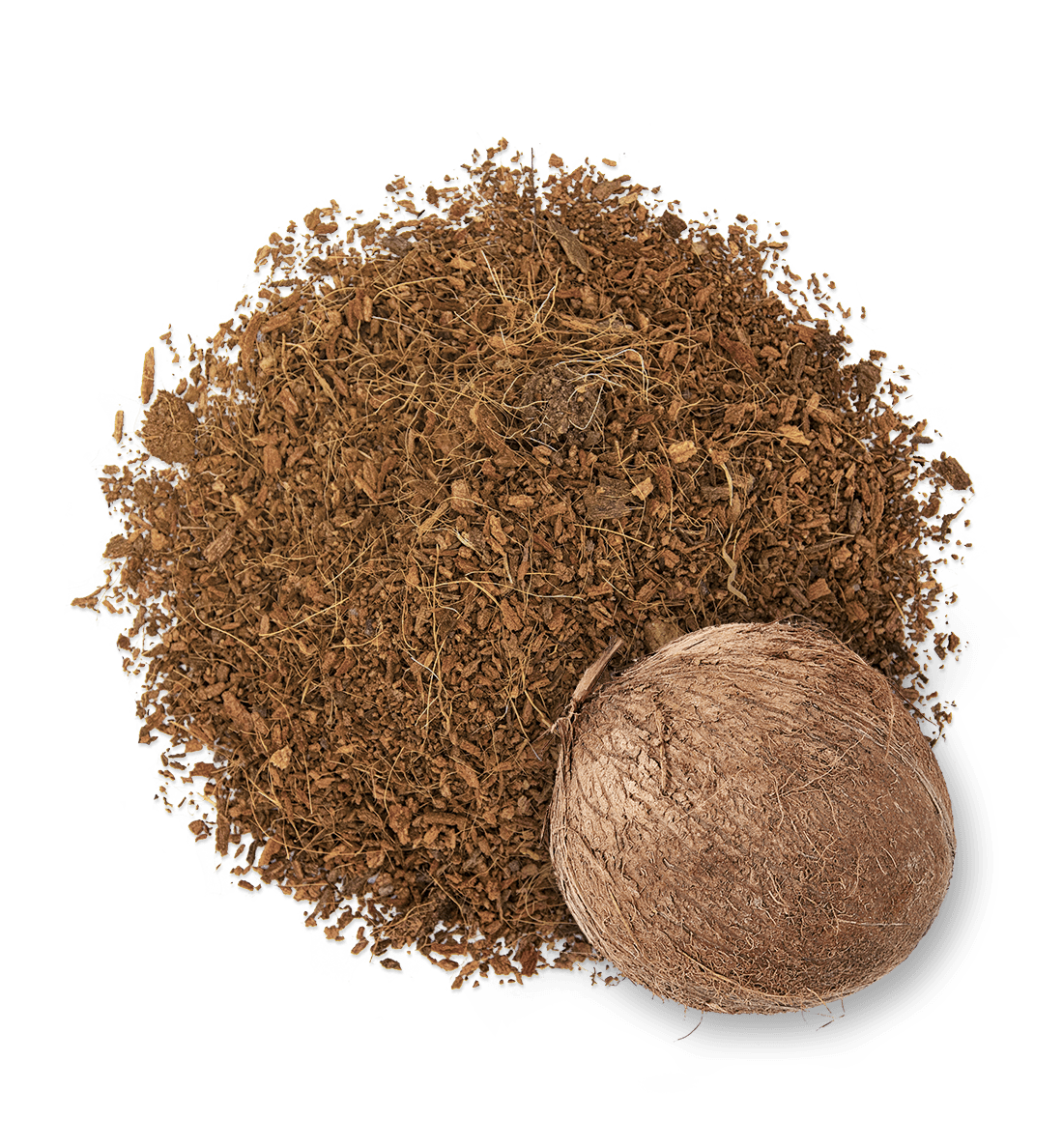 2G Pet Food, Equisnack, Equibar, Guidolin Gianni - Wholesale Pet Bed - Cat/Dog - Cocco Bed | Vegetable litter for cats, rabbits, and reptiles3