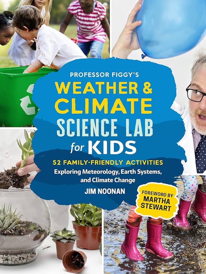 Professor Figgy's Weather And Climate Science Lab For Kids for wholesale by Texas Bookman