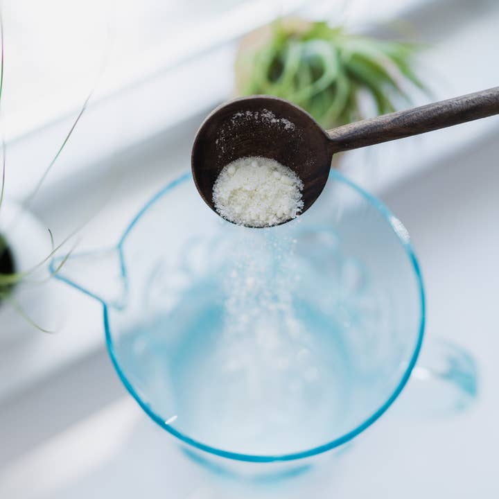 Air Plant Shop - Wholesale Fertilizer - Grow More Air Plant Fertilizer - 12 Month Supply3