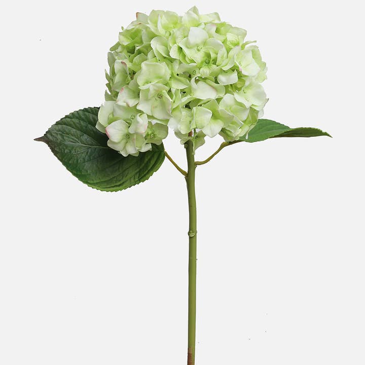 Real Touch Green Hydrangea 18” and other Purchase wholesale artificial hydrangea flowers. Free returns & net 60 terms on Faire trending on Faire.