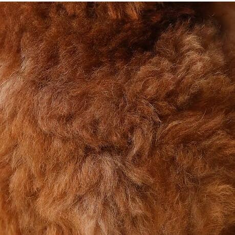 BELLEPAGA - Venta al por mayor Peluche - Niños y bebés - Peluche de alpaca 33 cm - José