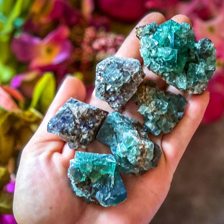 Mandala Gems - Venta al por mayor Piedras/cristales espirituales - Cúmulos de fluorita Hidden Forest Pocket, mina Diana Maria, Da
