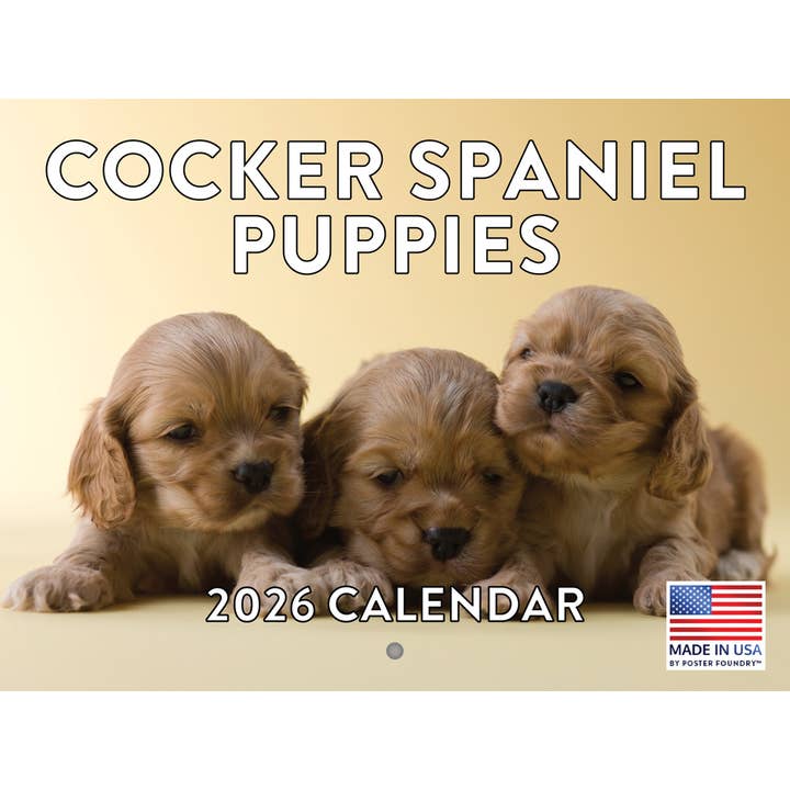 Cocker Spaniel Puppy Calendar 2026 for wholesale by 2026 Calendars