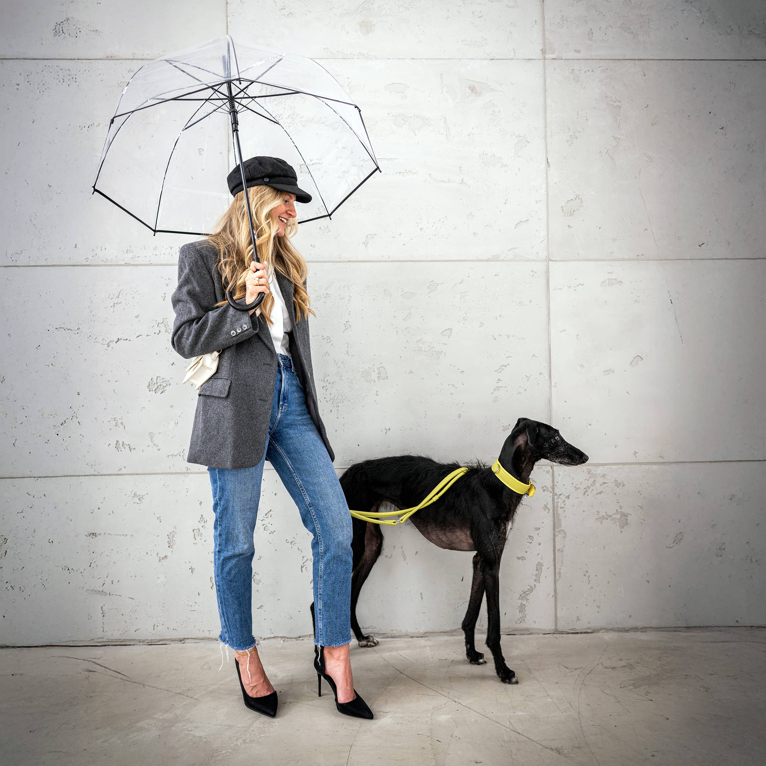 LABONI - Volentis GmbH - Wholesale Pet Collar - Dog - AMICI dog collar55