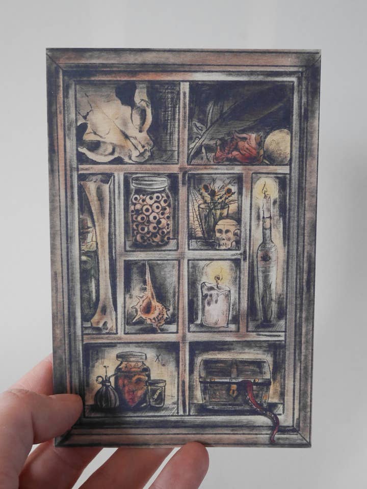 Curiosity Cabinet Standard Postcard for wholesale by Grey Grimm