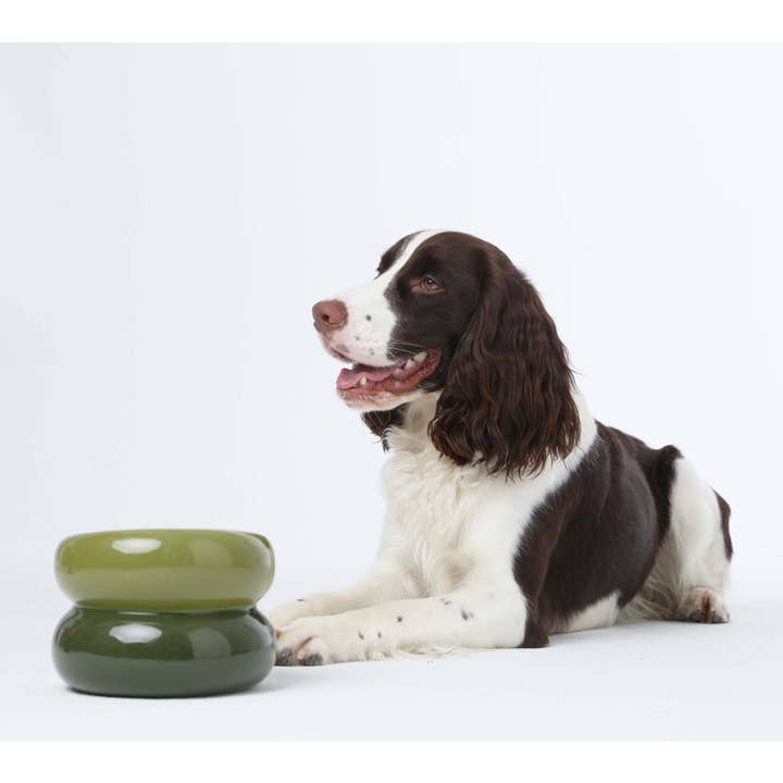 PEHOM - Wholesale Pet Bowl - Cat/Dog - Soufflé Pet Bowl - Avocado Green