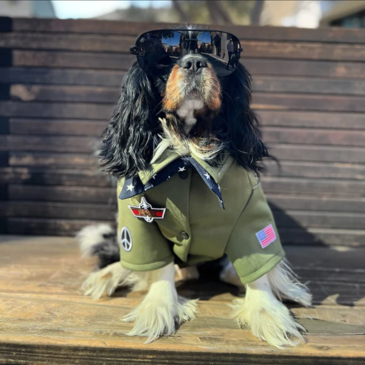 Icecreamtree Studio – wholesale Pet costume – Cat/dog – Top Gun Look Outfit Pilot Shirt, Scarf Set - Dog Cat Costume8