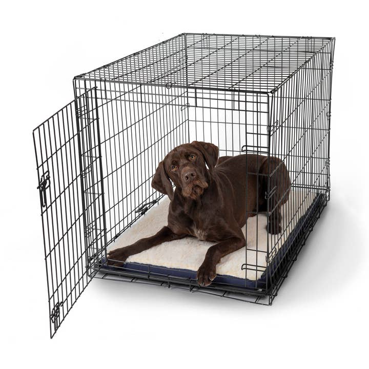 Snoozer Foam Dog Crate Pad for wholesale by Snoozer Pet Products