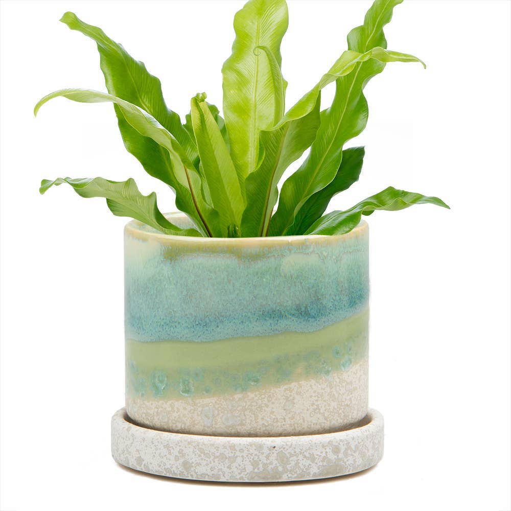 Chive UK - Wholesale Plant Pot - Minute - Glazed Modern Ceramic Pot with Saucer6
