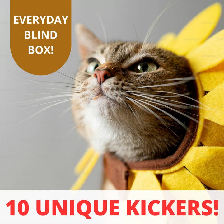 PLACEHOLDER 1 Scatola a Sorpresa Quotidiana - Giochi con Erba Gatta per Gatti per la vendita all'ingrosso da parte di The Spicy Purrito