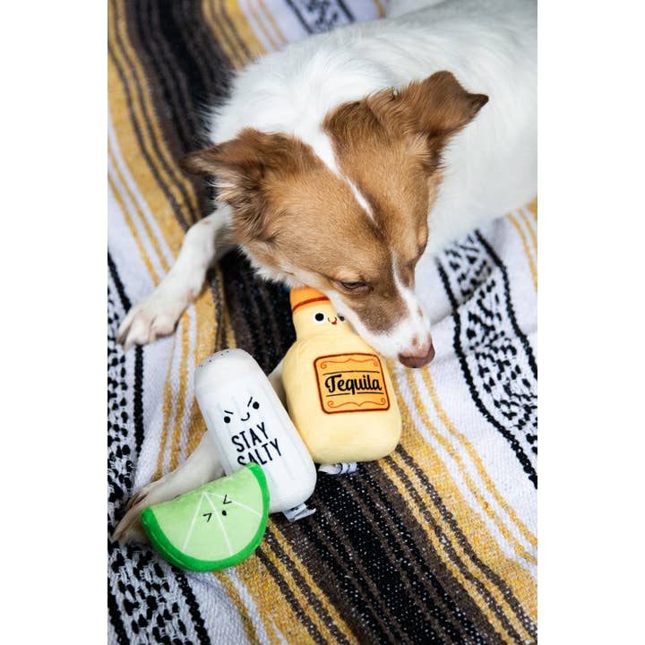 Pearhead - Wholesale Pet Plush Toy - Dog - Turnt Pup Dog Toys, Set of 3
