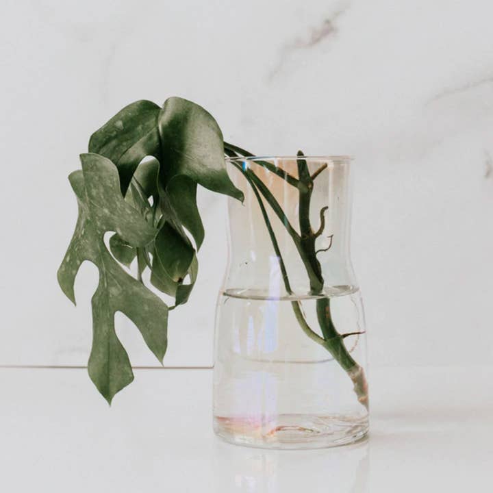 Janet Gwen - Wholesale Vase - Glass Propagation Vase2