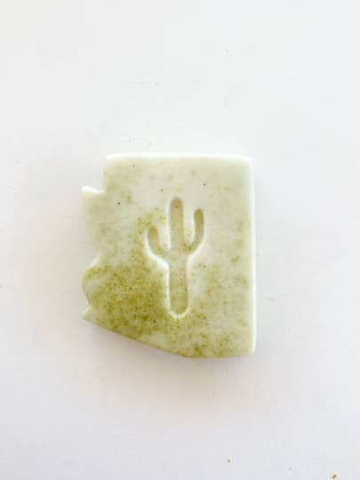 Arizona Agave for wholesale by Naked Fig