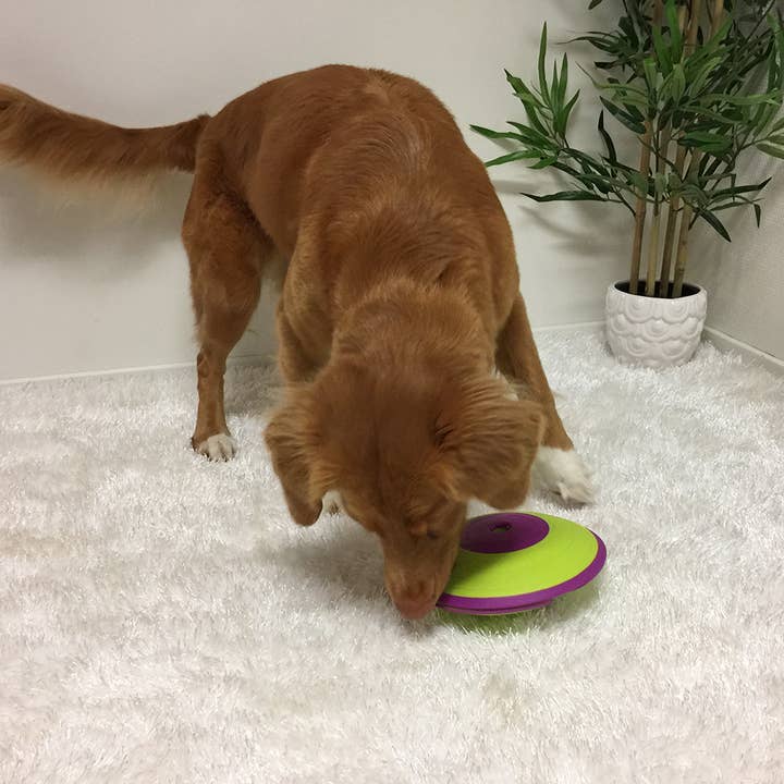 Pet Palette Distribution - Wholesale Pet Treats - Dog - Nina Ottosson Dog Treat Maze Interactive Dog Puzzle Toy