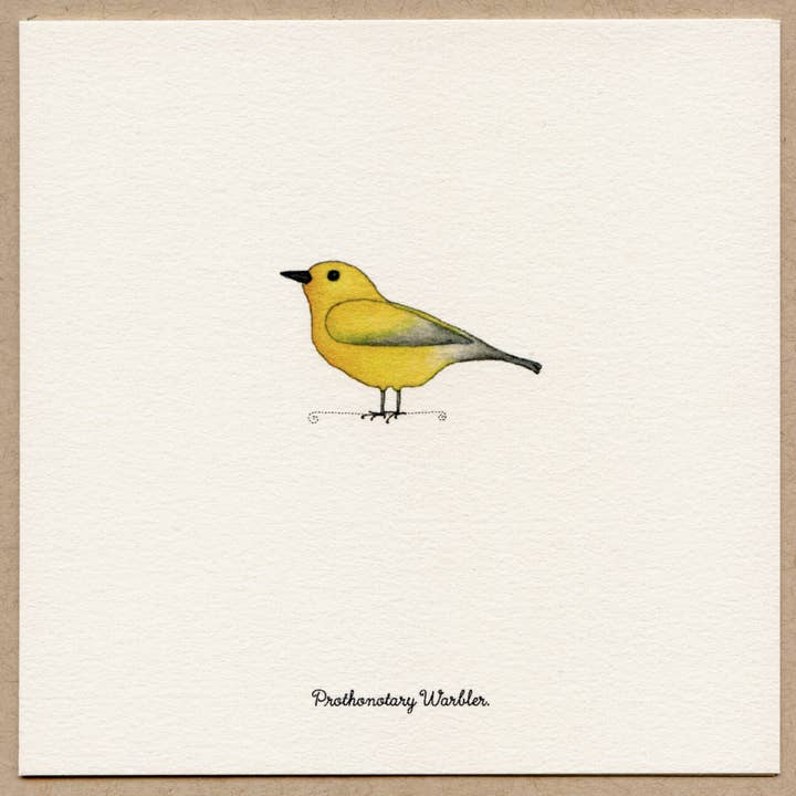 Prothonotary Warbler- Boxed Cards. for wholesale by Beth Mueller